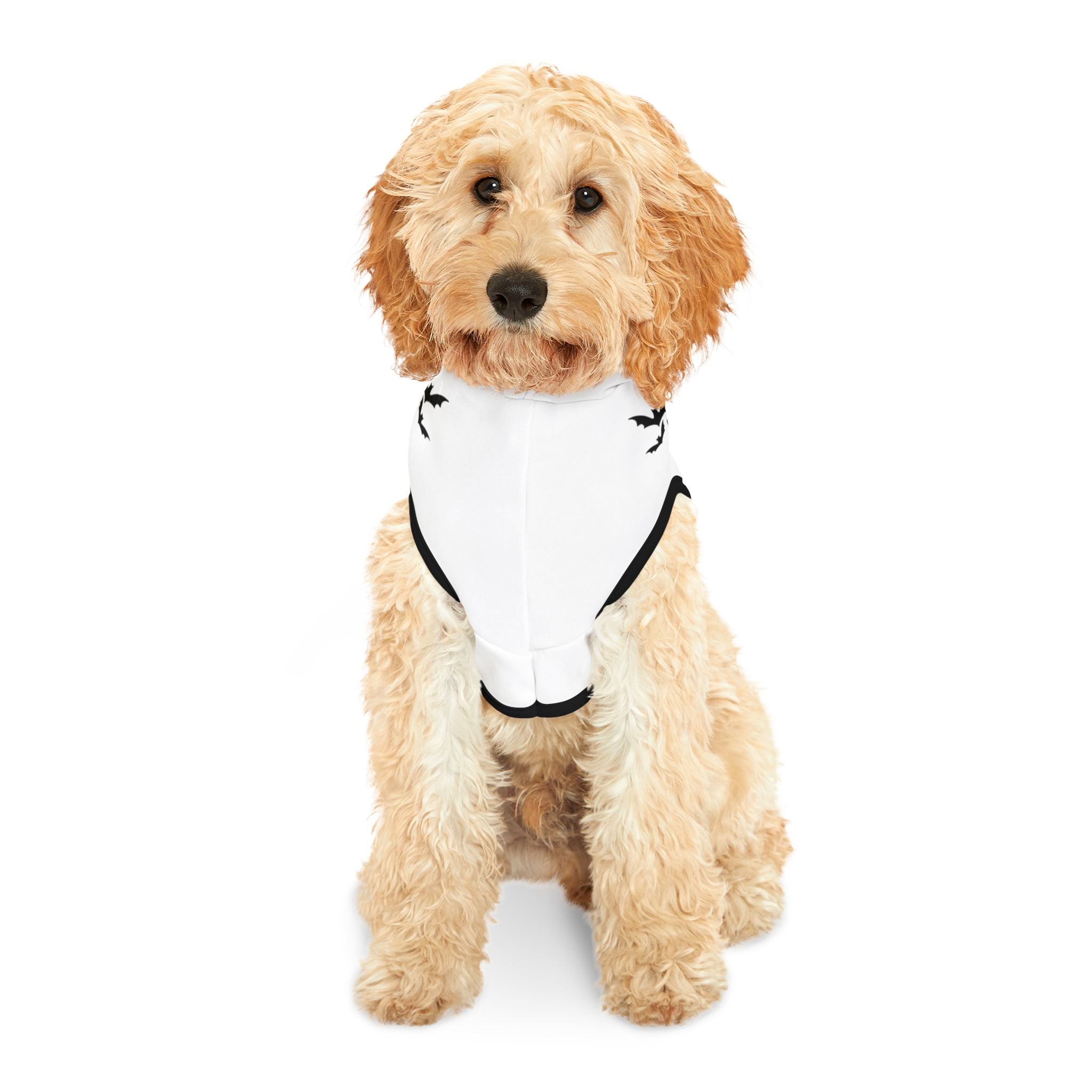 Halloween Pet Hoodie | Cozy Fall Dog Sweater & Costume