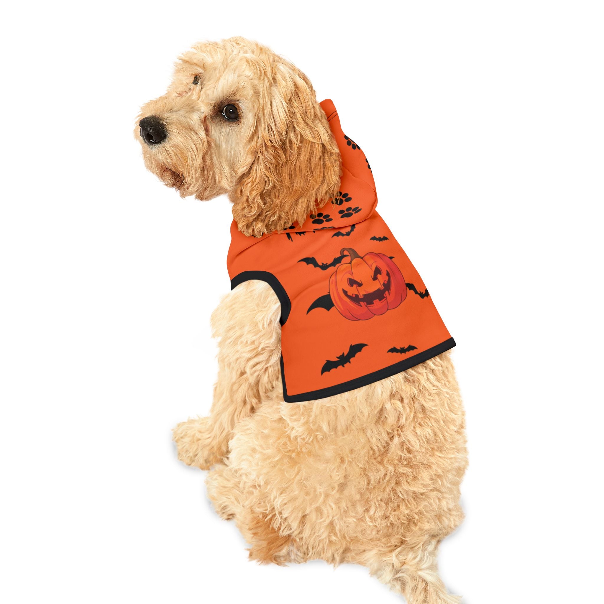 Halloween Pet Hoodie | Cozy Dog Sweater & Fall Costume