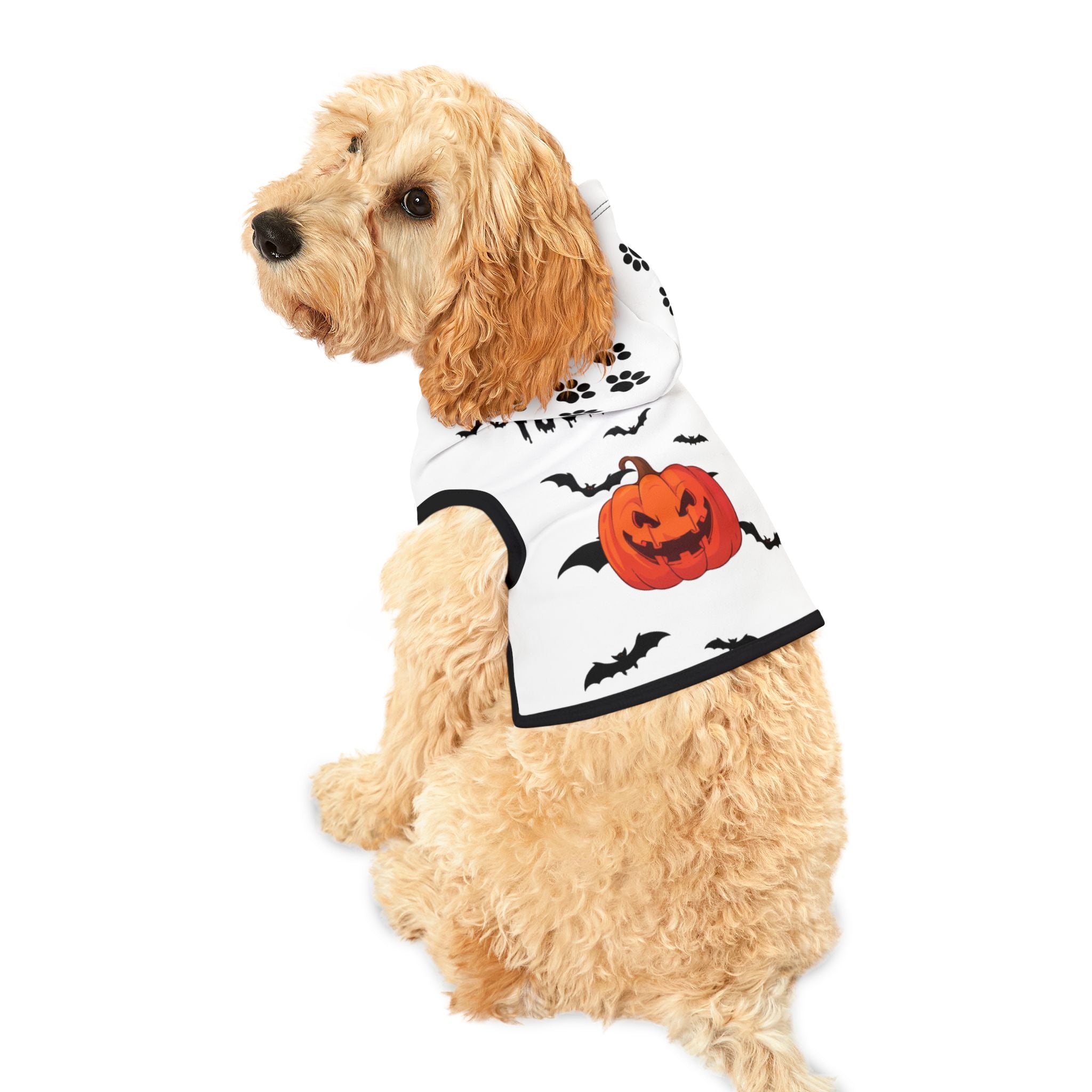 Halloween Pet Hoodie | Cozy Fall Dog Sweater & Costume