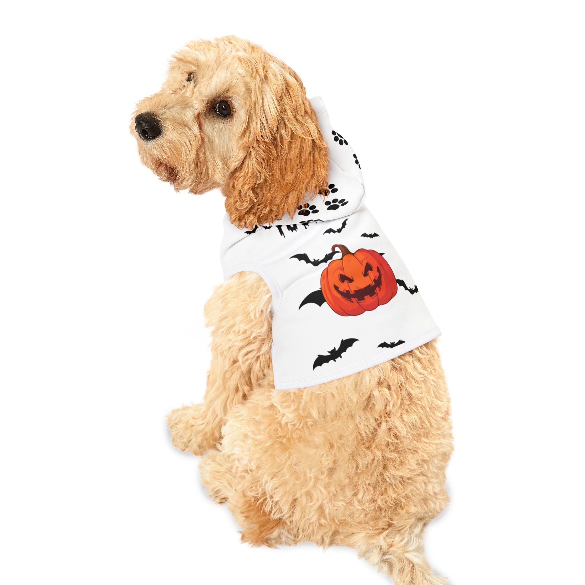 Halloween Pet Hoodie | Cozy Fall Dog Sweater & Costume