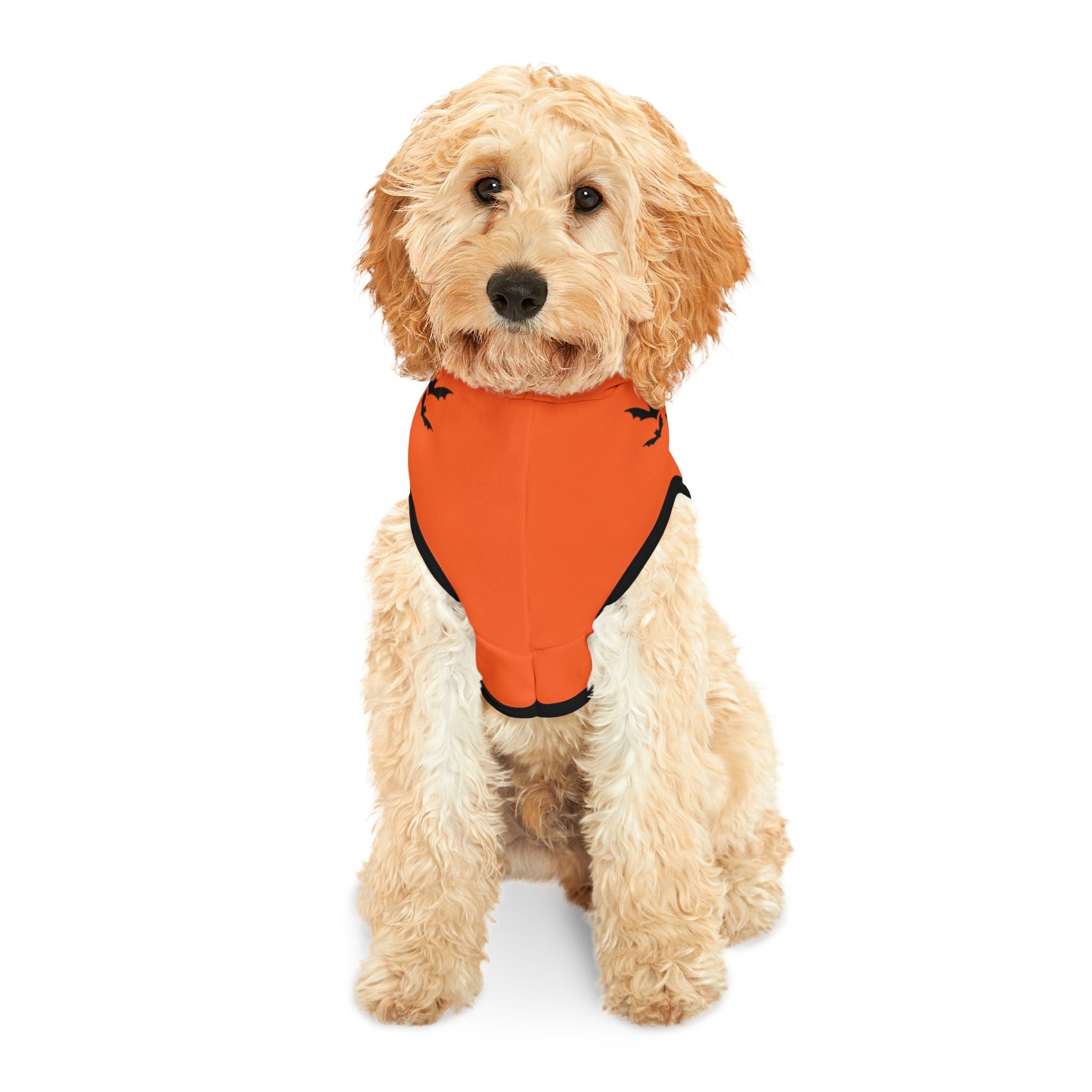 Halloween Pet Hoodie | Cozy Dog Sweater & Fall Costume